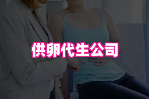 sarina | 正规代生公司 | 代怀价格